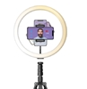 סטנד רינג לייט לצילום סלפי וטיקטוק 12אינצ'