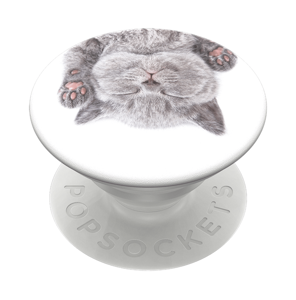 POPSOCKET דגם Cat Nap